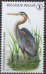 Timbre: The Birds of Buzin, 40 Years