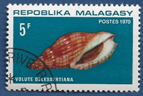 Timbre: Volute delessertiana