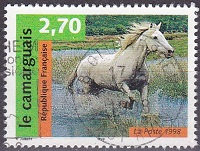 Timbre: Le camarguais