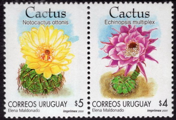 Timbre: Cact&eacute;e - se tenant