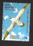Timbre: Puffinus gravis