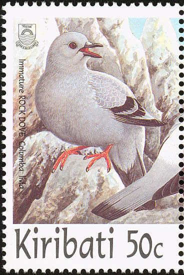 Timbre: Pigeons