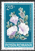 Timbre: Convolvulus persicus