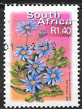 Timbre: Felicia amelloides