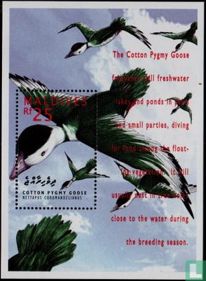 Timbre: (Canard de Coromand)(Oie pygm&eacute;e du coton)