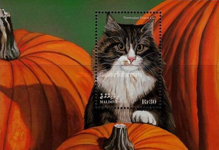 Timbre: Chats (I)