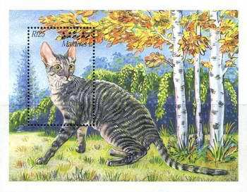 Timbre: Chats (I)
