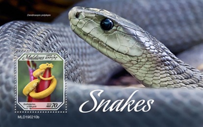 Timbre: Reptiles - Serpents