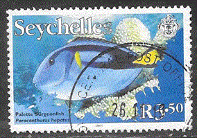 Timbre: Poisson chirurgien bleu