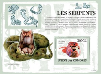 Timbre: Serpents