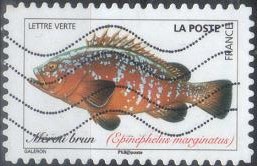 Timbre: Poissons : m&eacute;rou brun