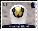 Timbre: Masked Booby (Sula dactylatra)