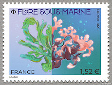 Timbre: Flore sous-marine