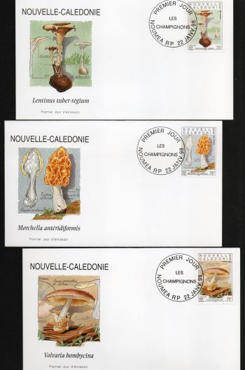 Timbre: Les champignons