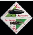 Timbre: Beetle and Cricket