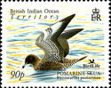 Timbre: Oiseau