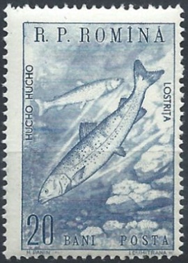 Timbre: Saumon du Danube