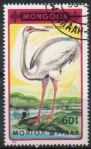 Timbre: Grus vipio pallas