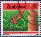 Timbre: Th&eacute; - Rose Rigden