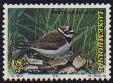 Timbre: Charadrius dubius