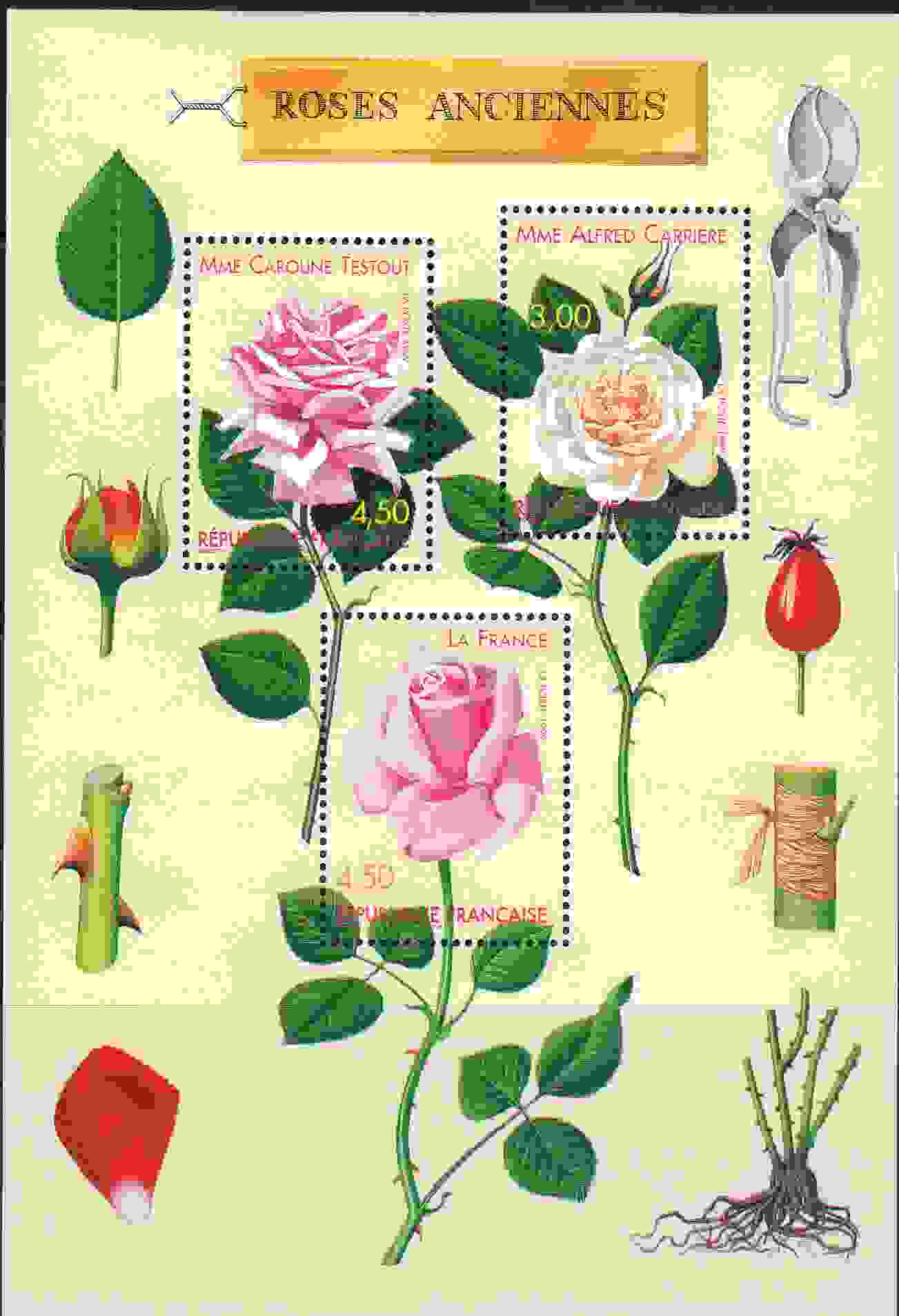 Timbre: Congres mondial de roses anciennes a Lyon