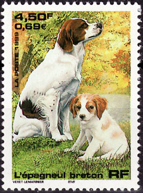 Timbre: Nature de France. Chien l'&eacute;pagneul breton