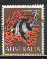 Timbre: Poisson Humbug