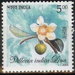 Timbre: Dillenia indica