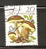 Timbre: Bolet bai