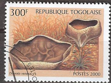 Timbre: Dictiotis venosa