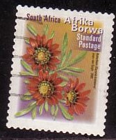 Timbre: Gazania Borwa