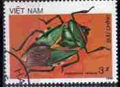 Timbre: Insecte