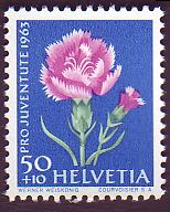 Timbre: Pro Juventute 1963 oeillet
