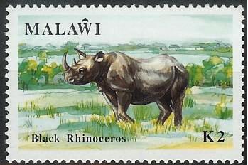 Timbre: Rhinoc&eacute;ros noir